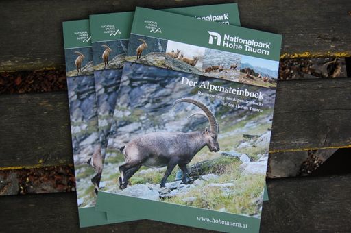 Vorschau Bild von Titelseite Steinwildbroschüre