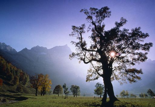  Herbststimmung am Großen Ahornboden