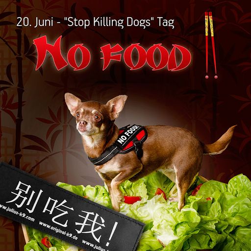  Hundefleisch auf dem Eßtisch - auch in der EU ein
Problem. Zwischen dem 21. und dem 23. Juni wird zur Sonnenwendfeier
in der chinesischen Stadt Yulin ein Festival für Hundefleischesser
veranstaltet, wo mehrere 10.000 Hunde unter bestialischen Umständen
getötet werden, um dann aufgegessen zu werden.