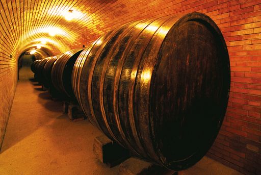 Vorschau Bild von Sensationsjahr 2013: Das Familienunternehmen
Ing. W. Baumgartner im niederösterreichischen Untermarkersdorf
begeisterte bei der "New York Wine Competition". Das größte Weingut
Österreichs darf sich über die Auszeichnung "Winery of the year"
freuen.