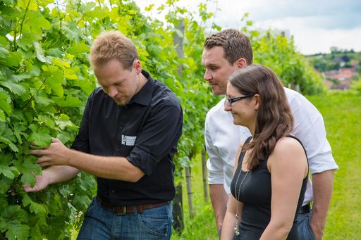  Im Rahmen des Programms "Wein & Genuss im
Kamptal" verbindet das LOISIUM Wine & Spa Resort Langenlois
einzigartige Naturerlebnisse mit besonderen önologischen Genüssen.