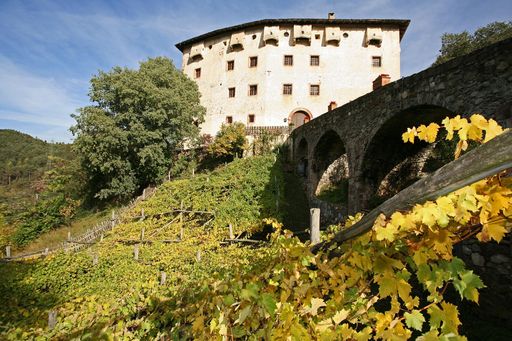 Vorschau Bild von 2006 haben die Gärten von Schloss
Trauttmansdorff die Patenschaft über die Rebe "Versoaln" bei Castel
Katzenzungen übernommen.