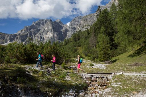  Tirol verzeichnete von Mai bis August 2013 die
meisten Gästeankünfte seit Beginn der Tourismusstatistik.