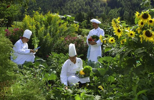  Naturidyll Hotels - Am Land daheim