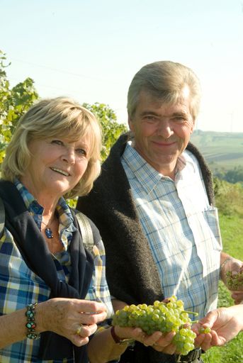  Trauben verkosten im Weingarten