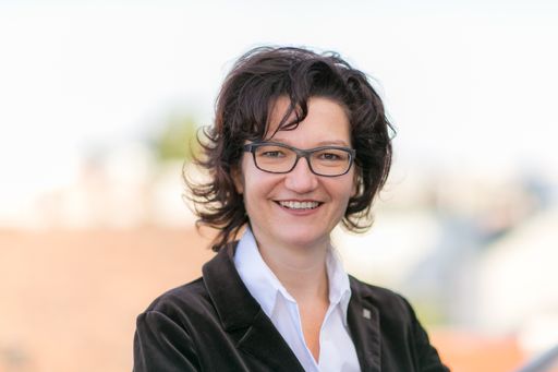 Die neue Leiterin Marketing und PR des BFI Wien:
Birgit Farnleitner.