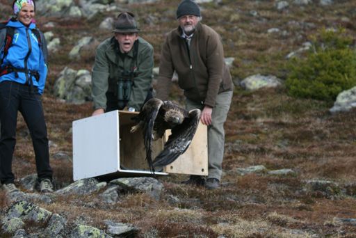 Vorschau Bild von Landesjägermeister Anton Larcher und
Greifvogel-Experte Matthias Premm mit Tierärztin Tanja Meister und
Greifvogel Opa