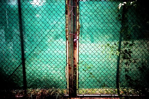 Vorschau Bild von Pressefoto progetto semiserio