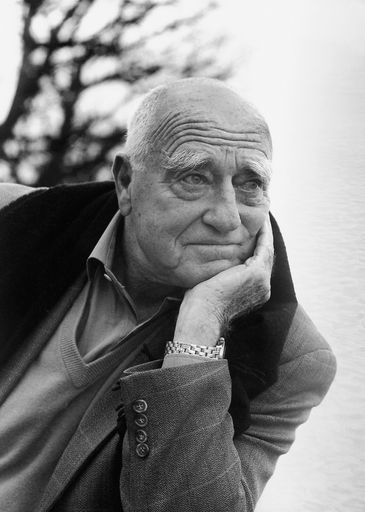 Professor Erich Lessing (geb. 1923), Fotograf