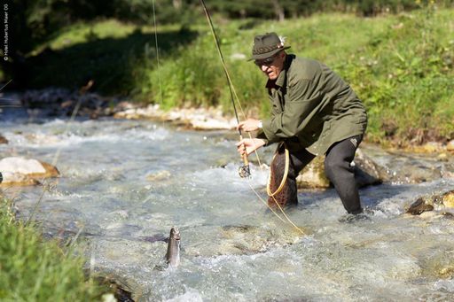 Der perfekte Fischerurlaub ist nicht nur in
fernen Ländern zu finden, sondern mehr oder weniger "ums Eck" in der
Alpenregion. "Fischwasser Österreich" offerierte seit Jahren Hotels
& Regionen mit ausgezeichneten Angel-Revieren in einem eigens dafür
aufgelegten Katalog.