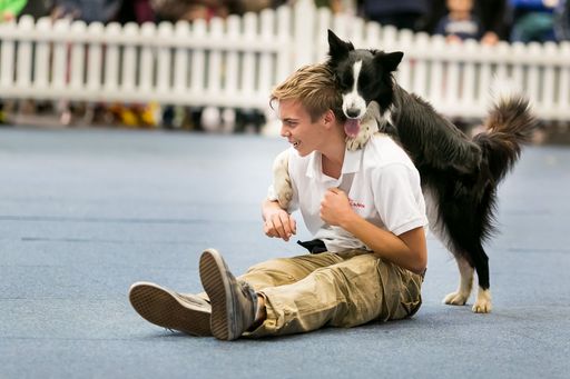  http://www.apa-fotoservice.at/galerie/4917 Lukas
und Falco - die Finalisten beim RTL SUPERTALENT bei der
Haustiermesse Wien - Akteure am Foto: Lukas Pratschker, Falco
Pratschker Rasse: Border Collie