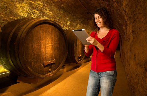 Vorschau Bild von LOISIUM Weinerlebniswelt Weinmachertour