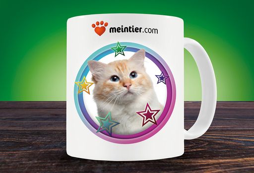  Da freuen sich Herrchen und Frauchen: Wessen
Haustier beim meintier-Gewinnspiel die meisten Stimmen erhält,
bekommt ein individuell designtes Tassen-Einzelstück.