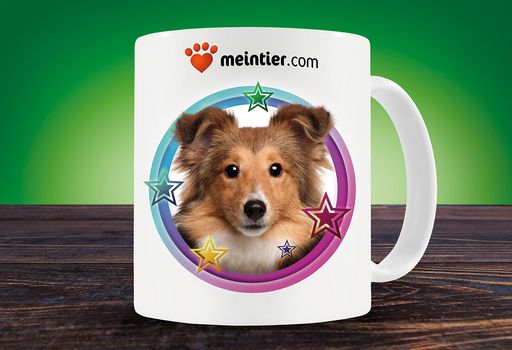 Vorschau Bild von Da freuen sich Herrchen und Frauchen: Wessen
Haustier beim meintier-Gewinnspiel die meisten Stimmen erhält,
bekommt ein individuell designtes Tassen-Einzelstück.