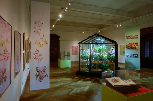 Saalbilder Sonderausstellung "Reichnbachs
Orchideen"
