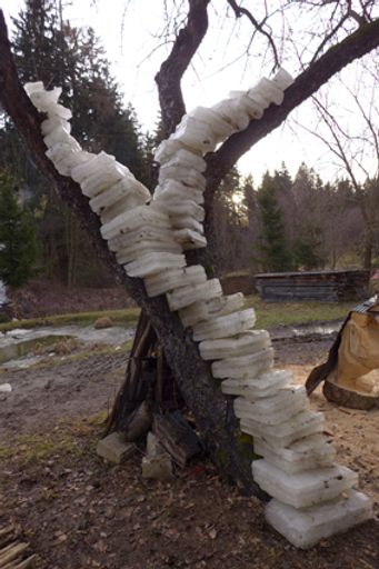 Vorschau Bild von Christian Eisenberger, Y, 2014.