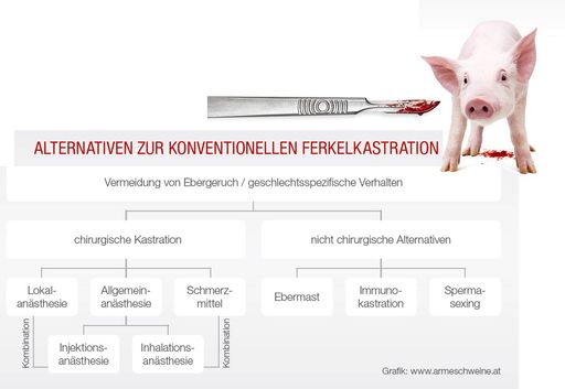  Infografik