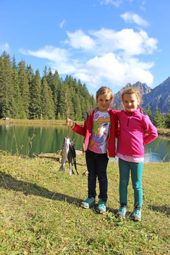  Bunter Sommer im Süden Vorarlbergs