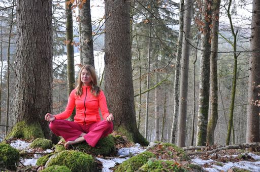 Vorschau Bild von Das Konzept von Yogamastazz besteht aus einer
Vielfalt von Yogapraktiken im Speziellen jedoch therapeutisches
Yoga, für Jedermann/frau. Für das kreative Team Vanessa Polzer und
Andrea Pürcher ist Yoga Lebensweg und Ziel geworden.