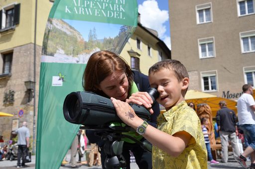 Alpenpark Karwendel präsentiert sich in der
Haller Altstadt