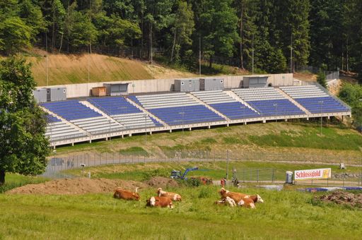 Vorschau Bild von Entspannde Kühe vor der Nordtribüne