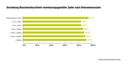 Vorschau Bild von Darstellung Maschinenbau/Anteil
vereinbarungsgemäßer Zahler nach Unternehmensalter