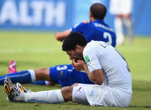Luis Suarez beschert sporntet.at neue
Zugriffsrekorde auch im Juni (Photo by Matthias Hangst/Getty Images)