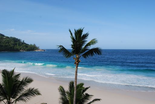 Immerwährender Hochsommer, üppige Vegetation,
Traumbuchten und Puderzuckerstrände: Die 115 Inseln Seychellen sind
ein traumhaftes Urlaubsziel.
