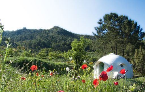  Die 10 verträumtesten Glamping-Unterkünfte
dieses Sommers