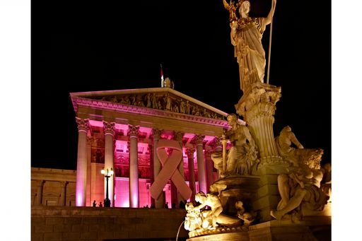 Vorschau Bild von Pink Ribbon Night 2012