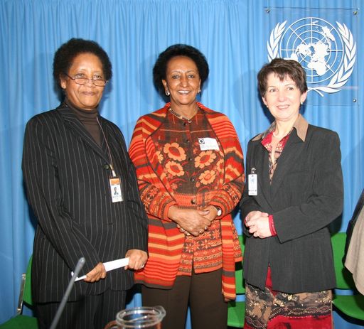  President Prammer at the UN Conference