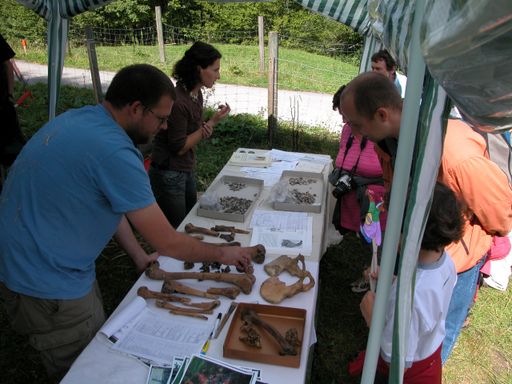 Vorschau Bild von Am 23. und 24. August 2014 steht wieder ein
ganzes Wochenende im Zeichen der interdisziplinären Forschungsarbeit
rund um die Salzwelten Hallstatt