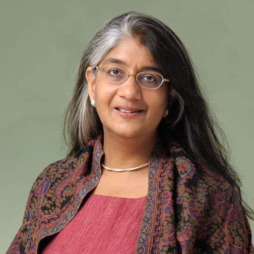 Shalini Randeria leitet ab 2015 das Wiener Institut für die
Wissenschaften vom Menschen (IWM)