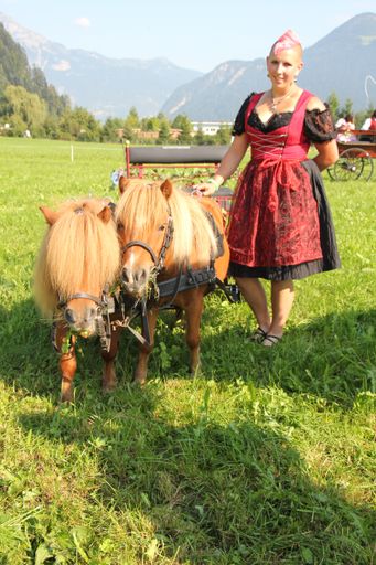 Vorschau Bild von Das Fest im Zillertal für Pferdeliebhaber