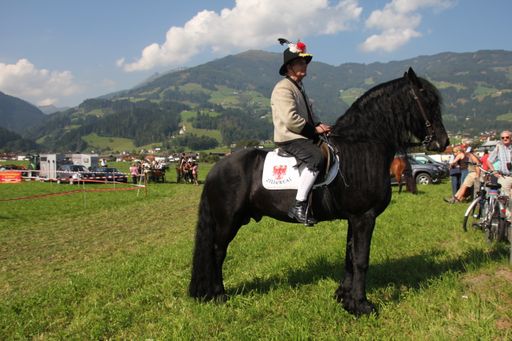Vorschau Bild von Das Fest im Zillertal für Pferdeliebhaber