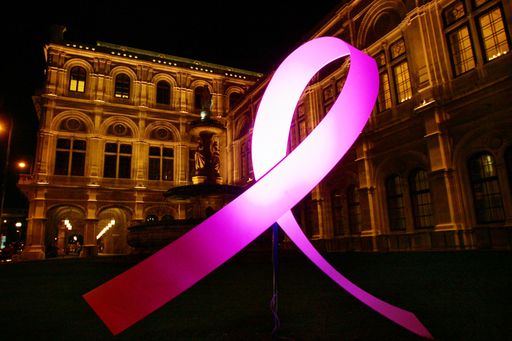 http://www.apa-fotoservice.at/galerie/5916
Internationaler Brustkrebstag: Immer mehr Brustkrebspatientinnen
geraten durch die Erkrankung in finanzielle Not. Die Österreichische
Krebshilfe berät und begleitet nicht nur Patientinnen und ihre
Angehörigen, sondern unterstützt sie auch finanziell - mit Hilfe des
Pink Ribbon Soforthilfefonds.