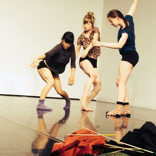  "the white horn" - Tanz Company Gervasi