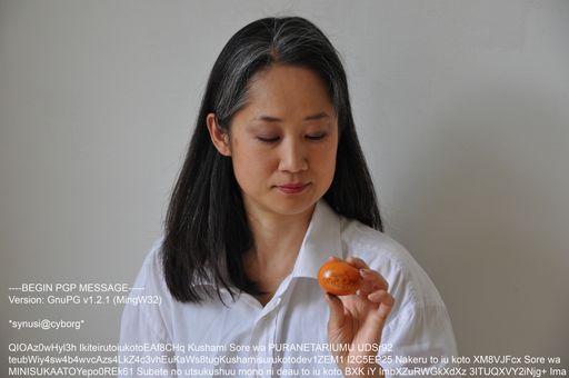 Vorschau Bild von Concept/photo: casaluce/geiger, performer: Hana
Usui, 2014