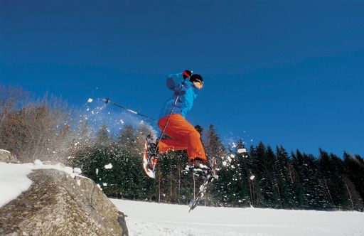  Umfangreicher denn je präsentiert sich die
aufstrebende Tourismusregion Mühlviertler Alm mit ihren Angeboten
für die kommende Wintersaison. Vor allem Ski-Enthusiasten kommen
voll auf ihre Kosten. Die Wintersportarena Liebenau, der
Schorschi-Lift in St. Georgen am Walde, der Skilift Mönchdorf und
die Stoaninger Alm in Schönau lassen die Herzen kleiner und großer
Pistenliebhaber höher schlagen.