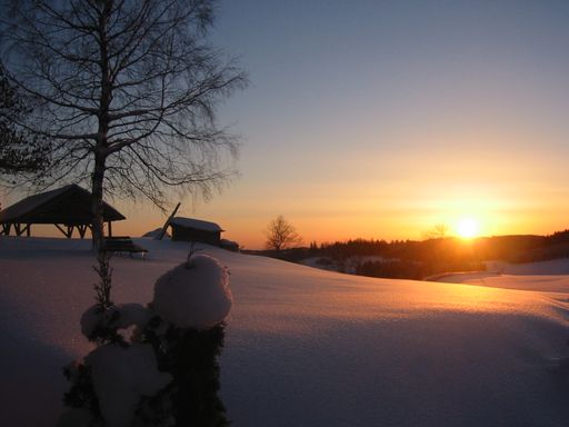 Vorschau Bild von Umfangreicher denn je präsentiert sich die
aufstrebende Tourismusregion Mühlviertler Alm mit ihren Angeboten
für die kommende Wintersaison. Vor allem Ski-Enthusiasten kommen
voll auf ihre Kosten. Die Wintersportarena Liebenau, der
Schorschi-Lift in St. Georgen am Walde, der Skilift Mönchdorf und
die Stoaninger Alm in Schönau lassen die Herzen kleiner und großer
Pistenliebhaber höher schlagen.