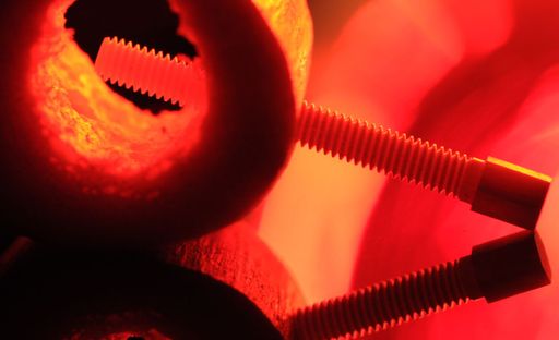 Vorschau Bild von Im Bild: Knochentransplantat „Shark Screw“