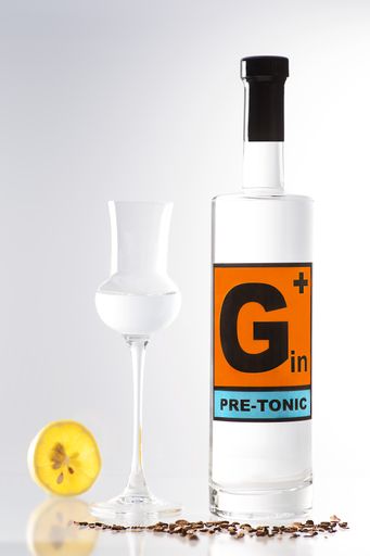 Vorschau Bild von 0,5 L Flasche des Pre-Tonic Gin+ der nur mehr mit
Soda vermischt werden muss und man hat einen Gin-Tonic