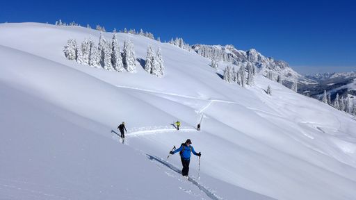 Sicher auf Skitour: Der Alpenverein empfiehlt
Entlastungsabstände von 10 Metern beim Aufstieg in Steilhängen (über
30 Grad). Das reduziert nicht nur die Belastung auf die Schneedecke,
sondern steigert auch den Komfort bei Spitzkehren.