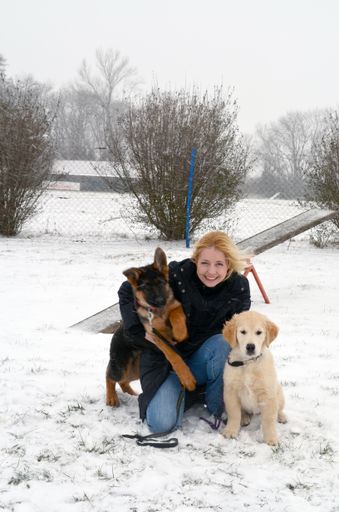 Iva Schell - "ÖKV -Botschafterin des Hundes", Golden Retriever
Welpe "Leni" und Dt. Schäferwelpe "Gustl" freuen sich auf eine
spannendes Hundeschuljahr 2015