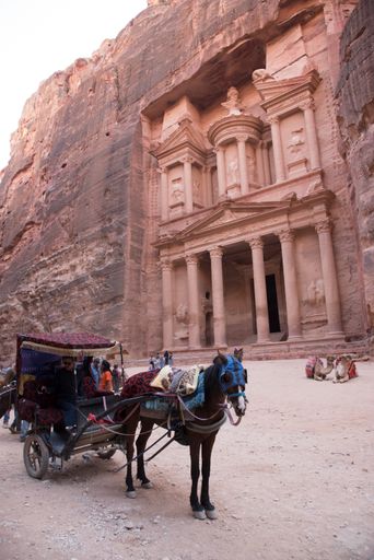 Arbeitspferde in Petra