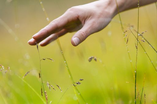  Im Jägerhof wird WYDA erstmals in Südtirol als
Bestandteil der Natur- und Gesundheitswochen angeboten.