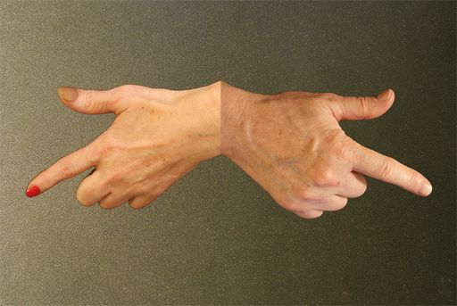 Q202-AtelierRundgang 2015, 24.-26. April, 14-21
Uhr. Eine Entdeckungsreise in Sachen Kunst und Gegend an 60 Orten in
Wien. Wanderkarte unter: www.q202.at
