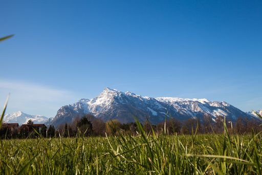 Vorschau Bild von Moorabbaugebiet der Firma SonnenMoor in
Salzburg-Leopoldskron.