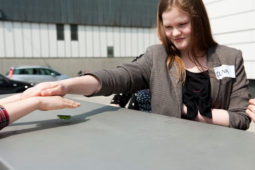 Vorschau Bild von Berufseinblicke aus erster Hand – AIT am Töchtertag
2015