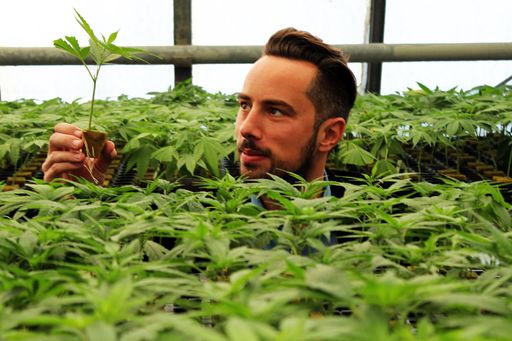 Vorschau Bild von Crowdfunding-Kampagne ändert das Image von Cannabis